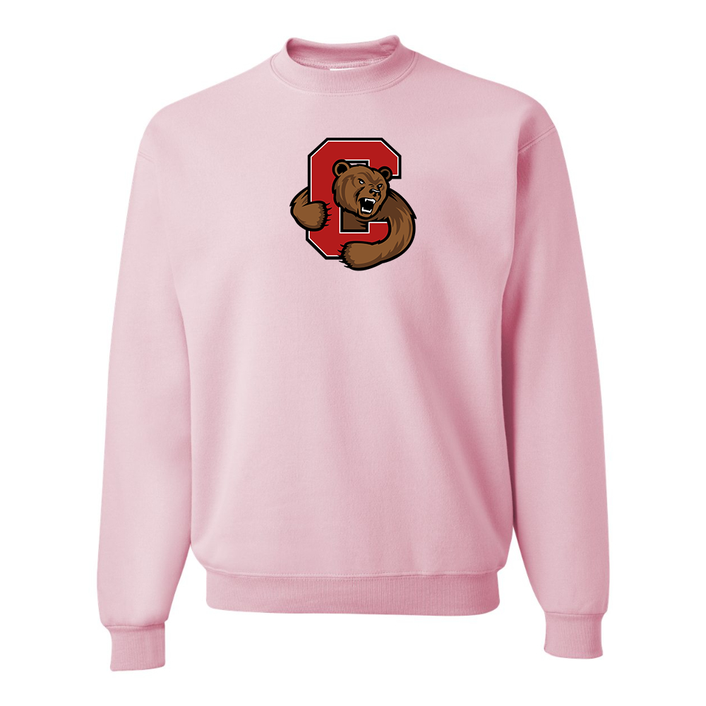 Men's  Cornell Big Red JERZEES NuBlend Crewneck Sweatshirt