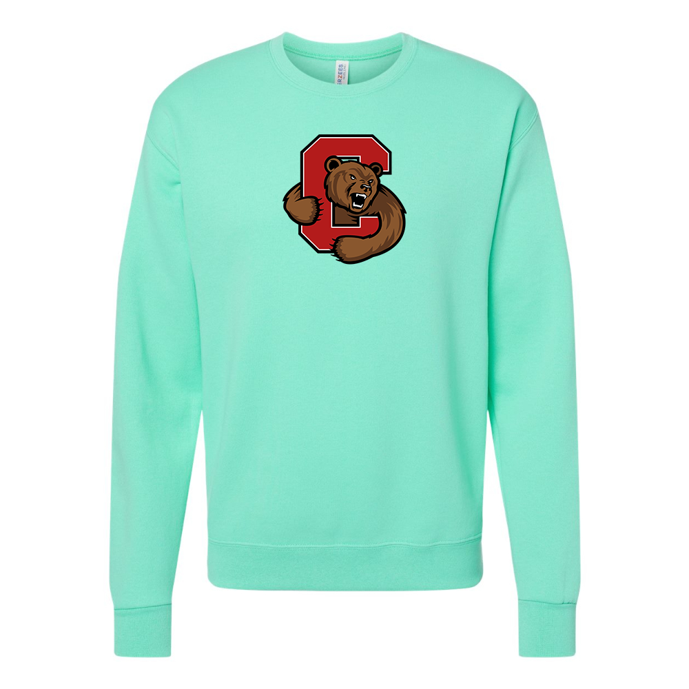 Men's  Cornell Big Red JERZEES NuBlend Crewneck Sweatshirt