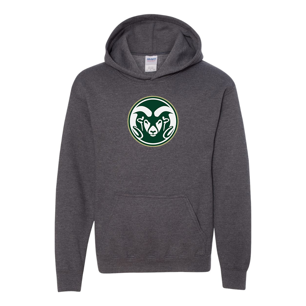 Youth  Colorado State Rams Gildan Heavy Blend  Hooded Sweatshirt