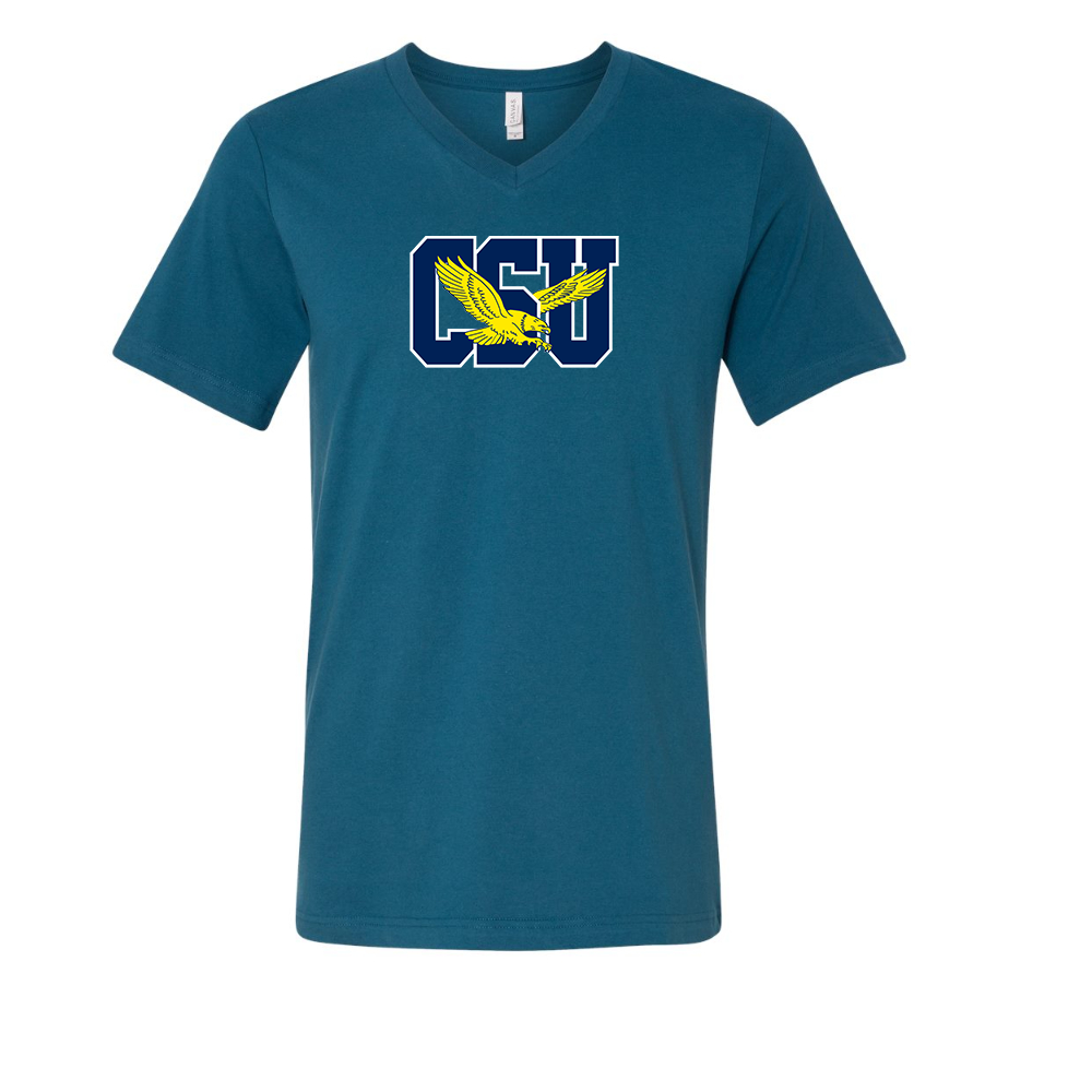 Coppin State Eagles  BELLA  CANVAS - Jersey V-Neck T-Shirt