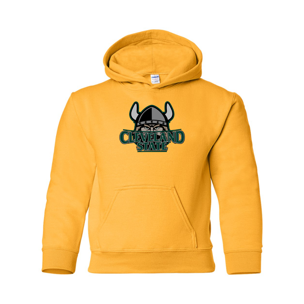 Youth  Cleveland State Vikings Gildan Heavy Blend  Hooded Sweatshirt