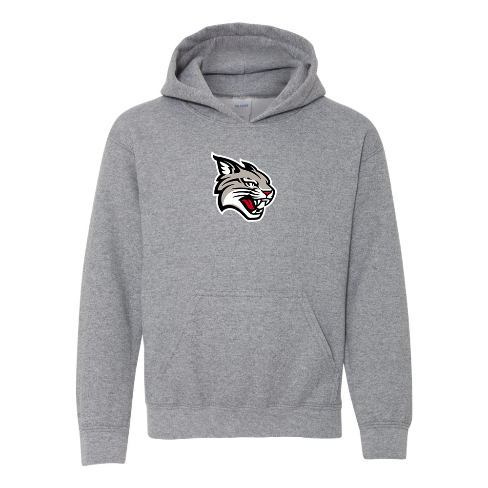 Youth  Davidson Wildcats Gildan Heavy Blend  Hooded Sweatshirt