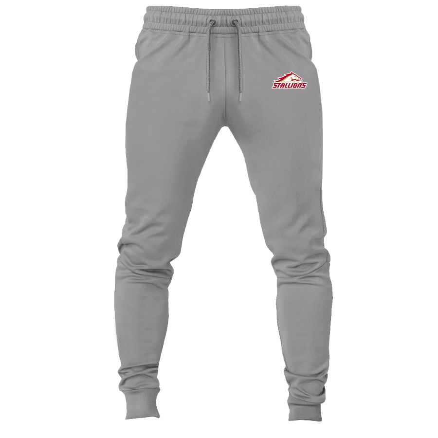 Men's Birmingham Stallions Logo Sweatpants Joggers