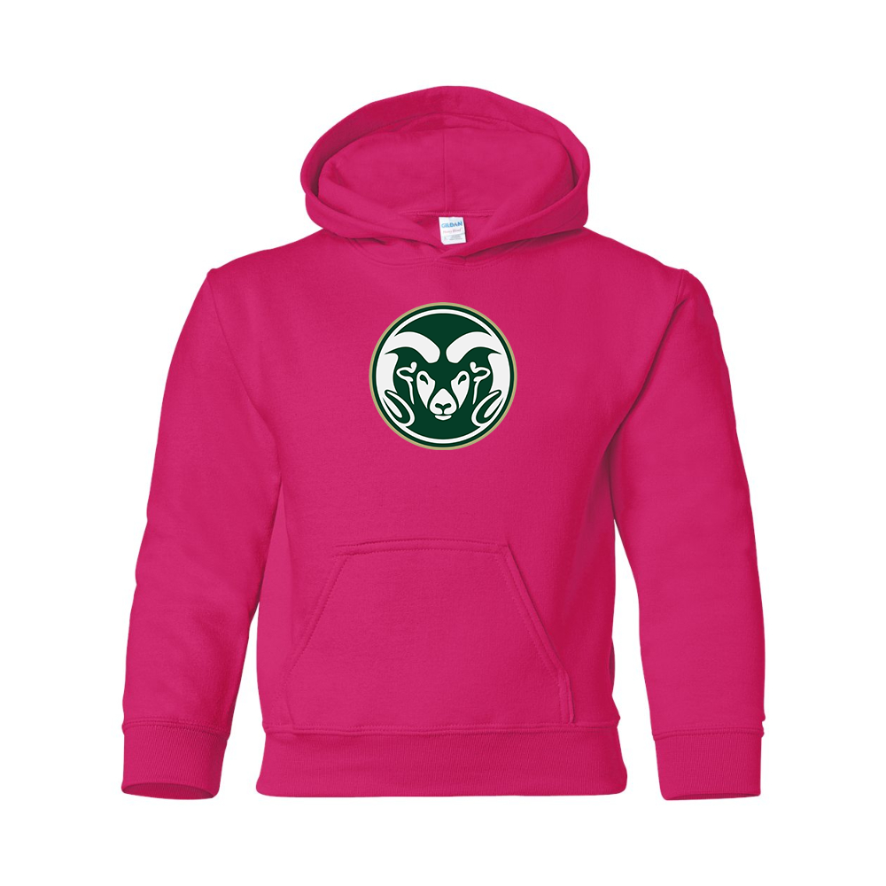 Youth  Colorado State Rams Gildan Heavy Blend  Hooded Sweatshirt