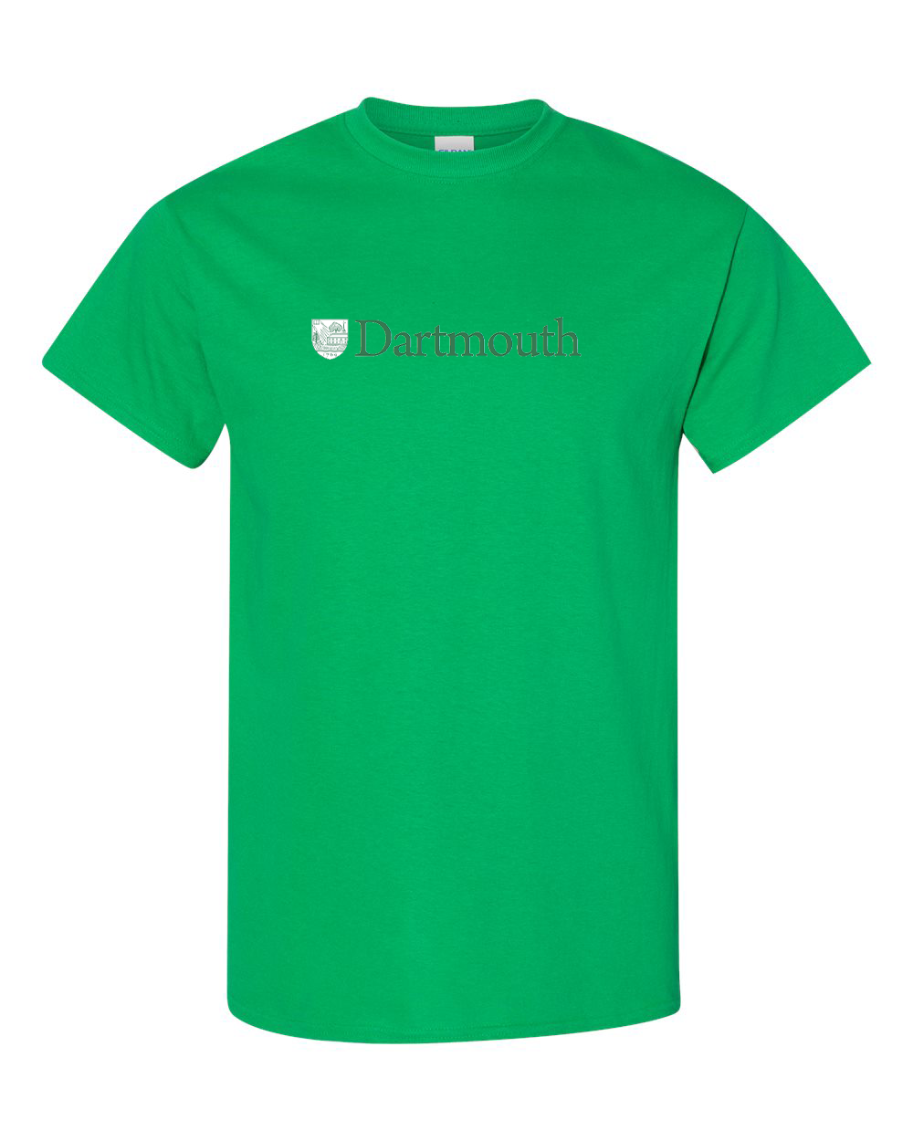 Men's Dartmouth College Gildan Heavy Cotton T-Shirt