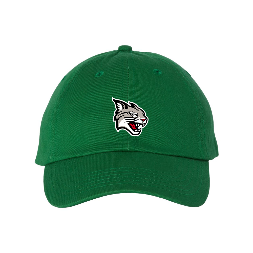 Davidson Wildcats  Valucap Adult Bio-Washed Classic Dad Hat