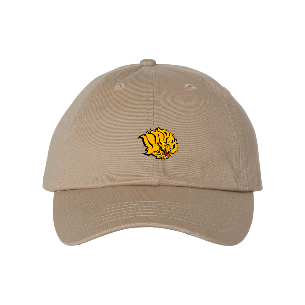 Arkansas PB Golden Lions Valucap Adult Bio-Washed Classic Dad Hat