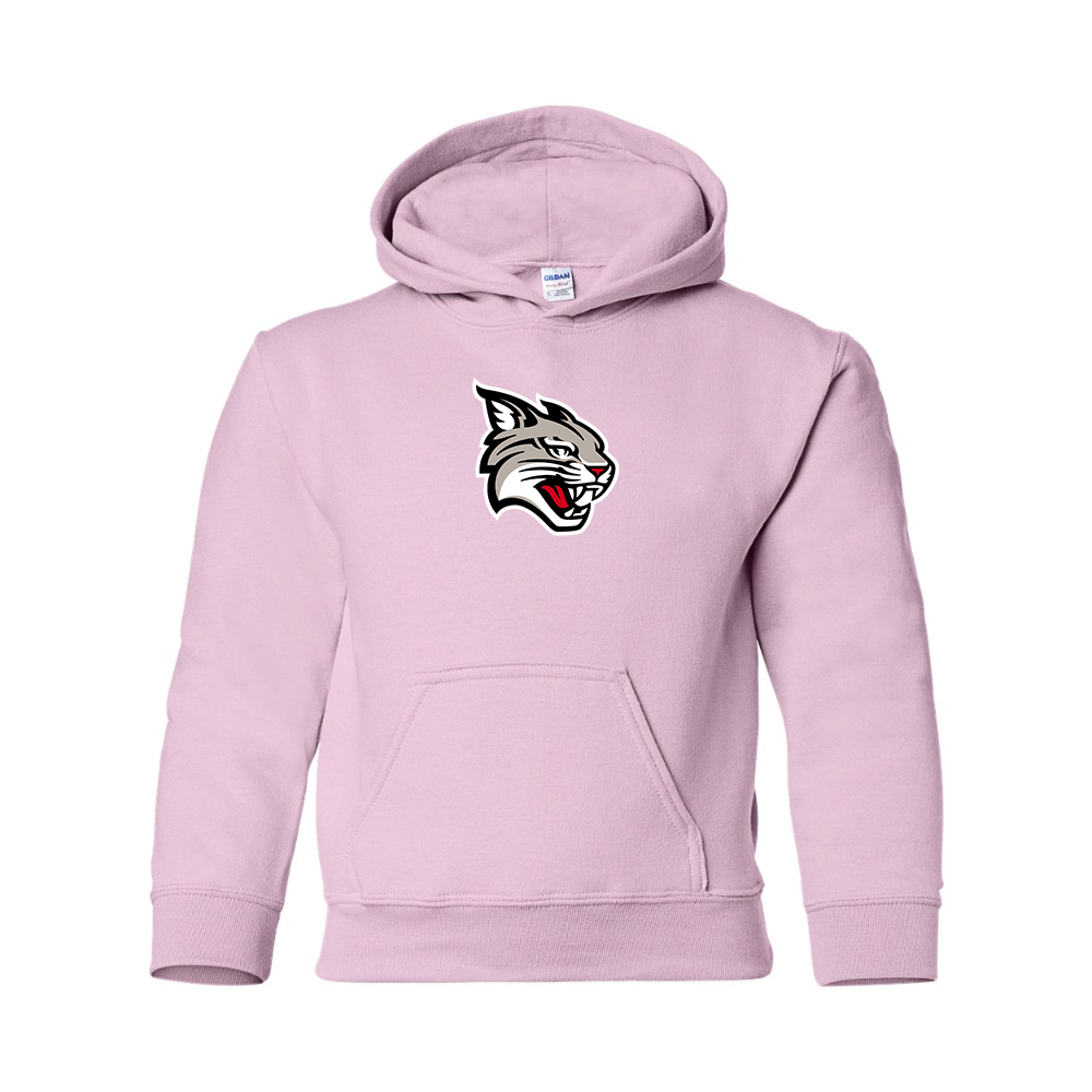 Youth  Davidson Wildcats Gildan Heavy Blend  Hooded Sweatshirt