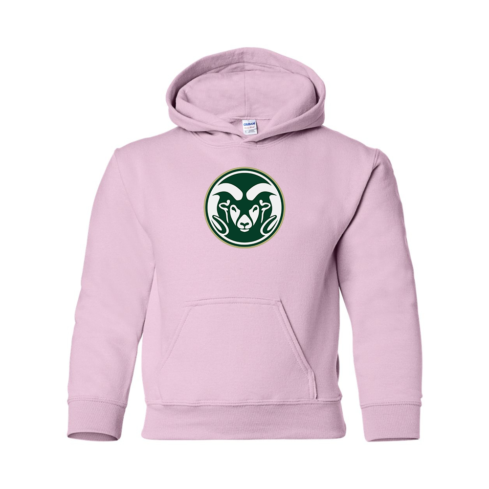 Youth  Colorado State Rams Gildan Heavy Blend  Hooded Sweatshirt