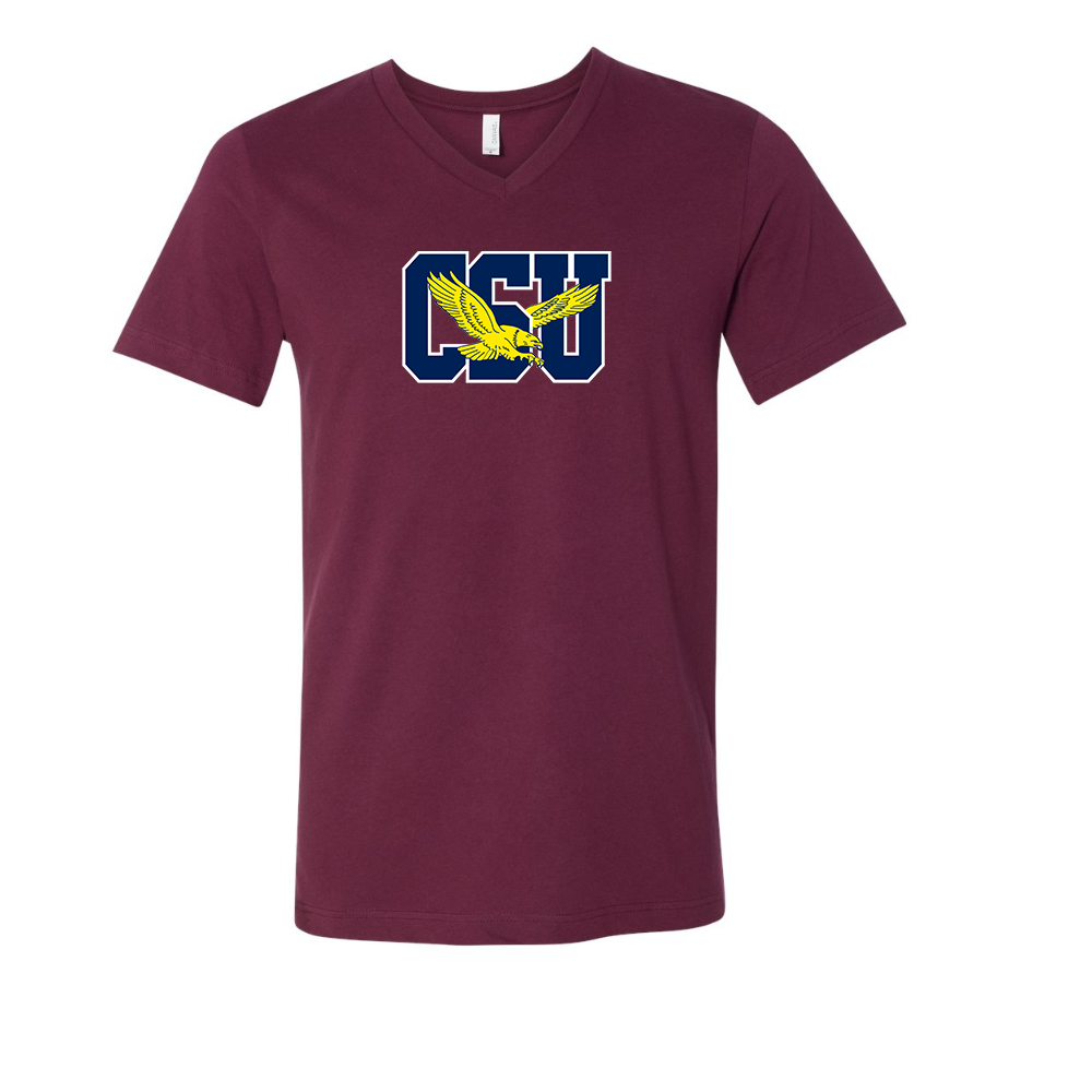 Coppin State Eagles  BELLA  CANVAS - Jersey V-Neck T-Shirt