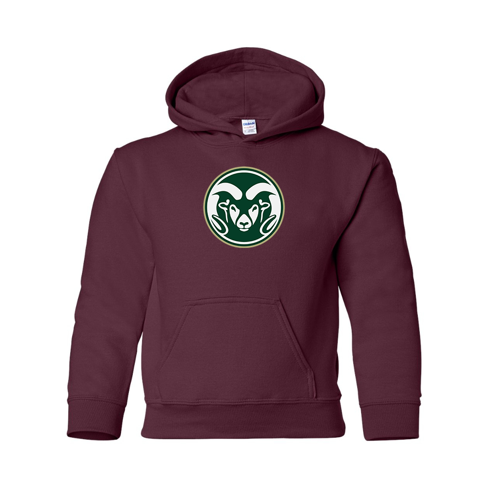Youth  Colorado State Rams Gildan Heavy Blend  Hooded Sweatshirt