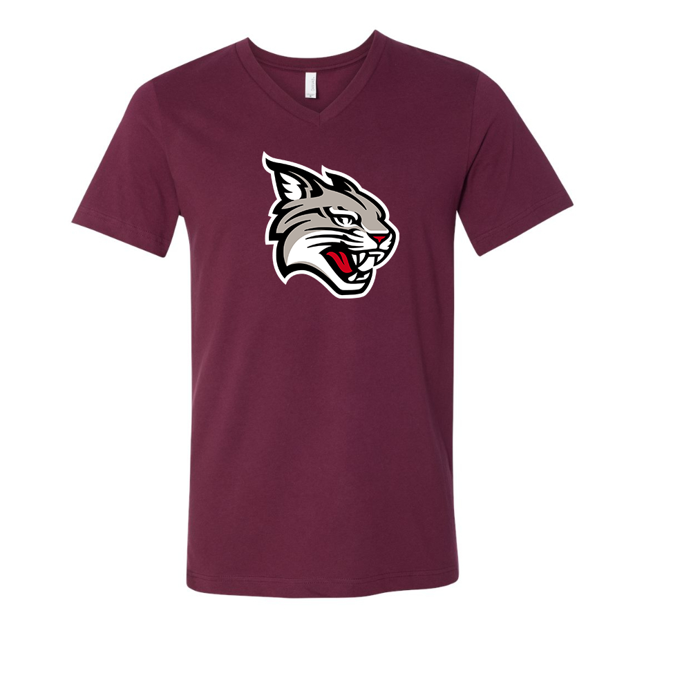 Davidson Wildcats BELLA  CANVAS - Jersey V-Neck T-Shirt