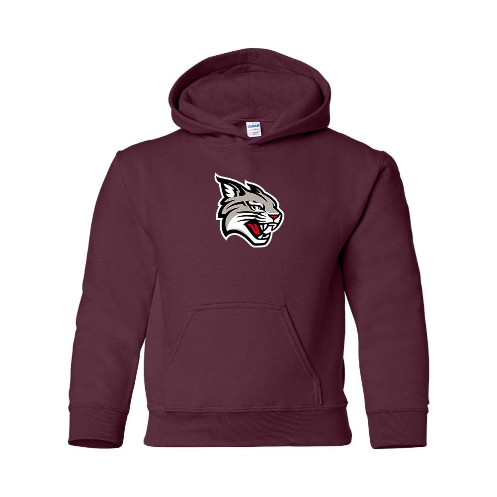 Youth  Davidson Wildcats Gildan Heavy Blend  Hooded Sweatshirt