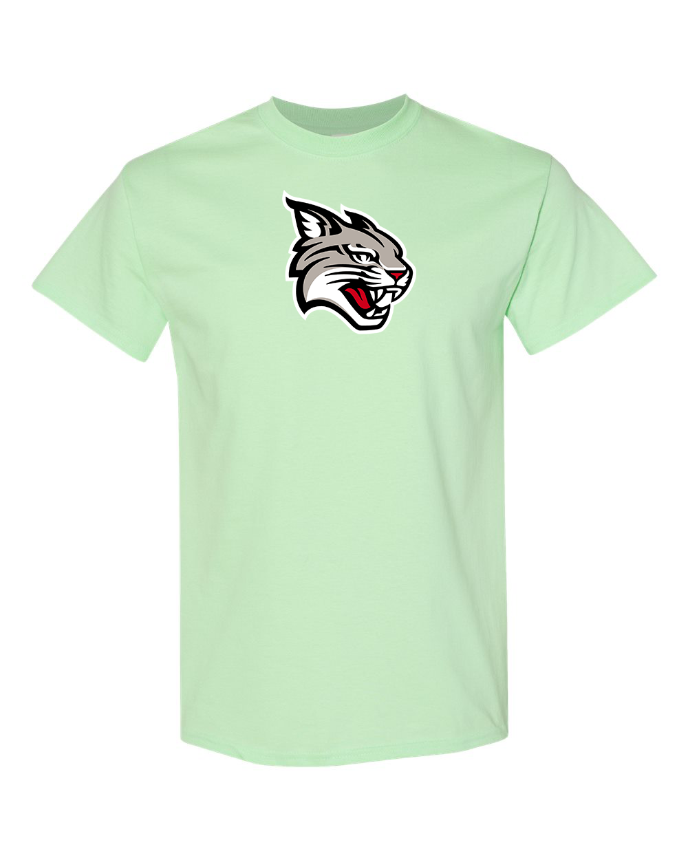 Men's Davidson Wildcats Gildan Heavy Cotton T-Shirt