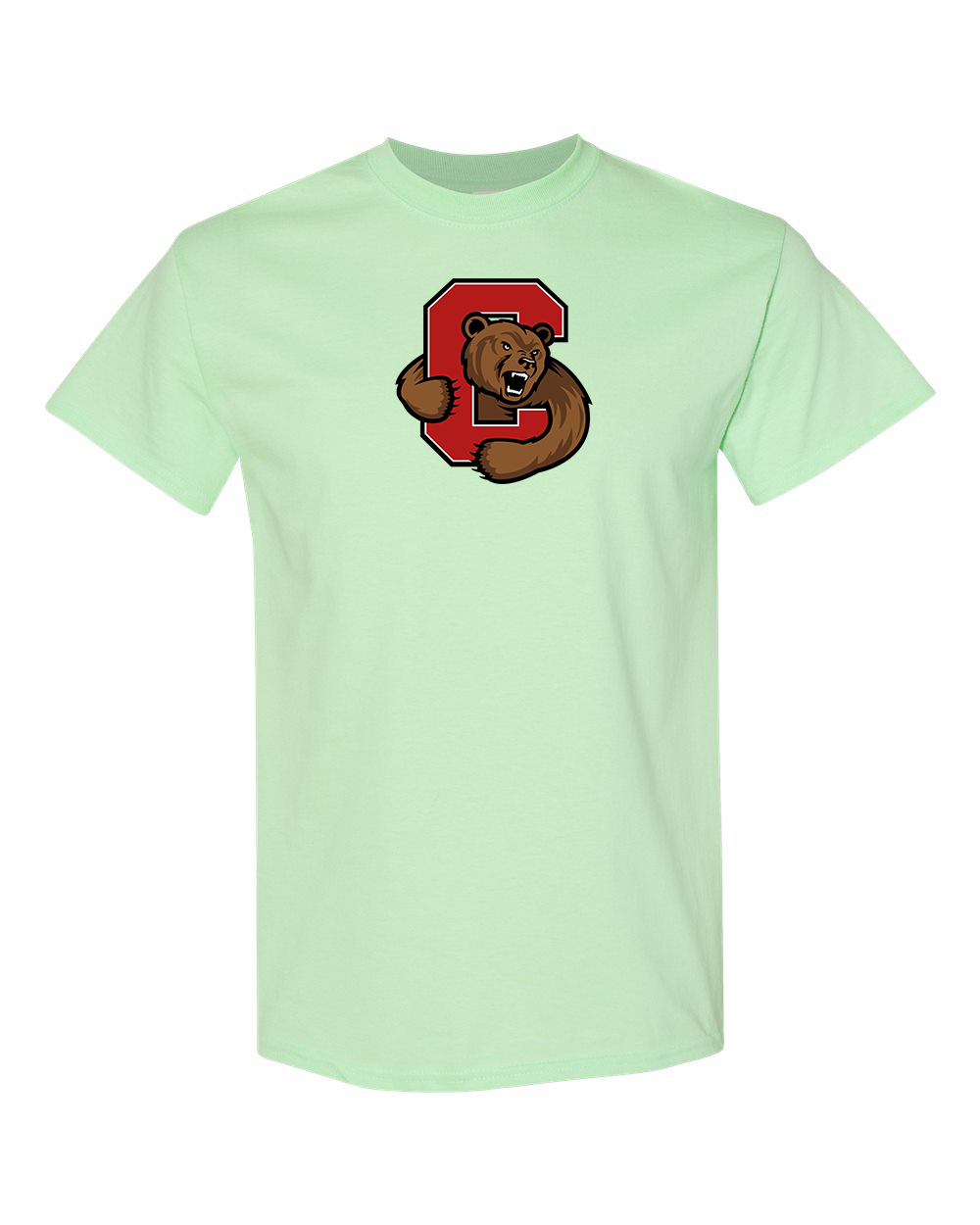 Men's  Cornell Big Red  Gildan Heavy Cotton T-Shirt