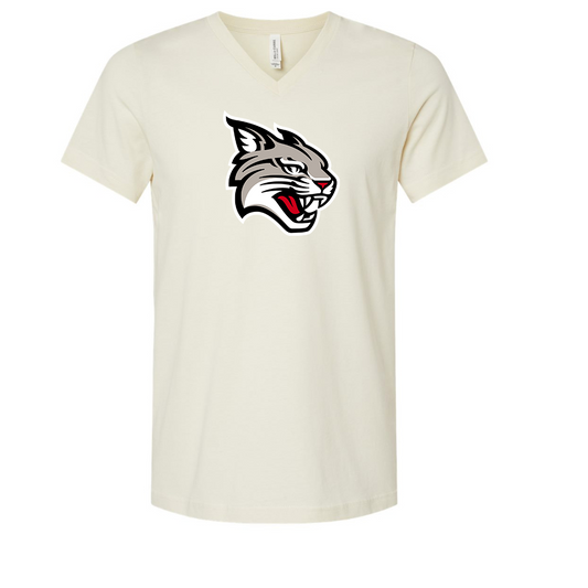 Davidson Wildcats BELLA  CANVAS - Jersey V-Neck T-Shirt