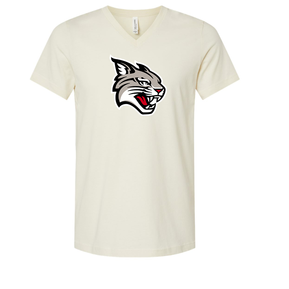Davidson Wildcats BELLA  CANVAS - Jersey V-Neck T-Shirt