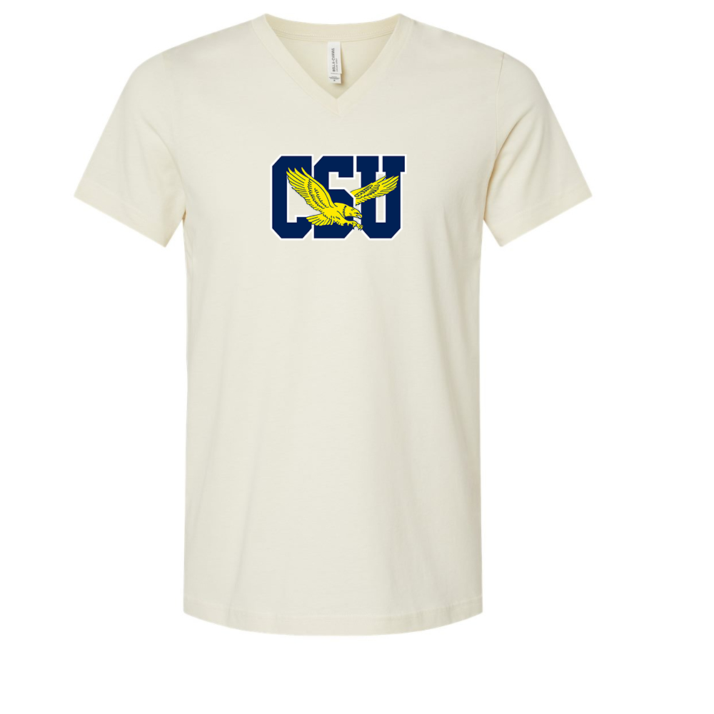 Coppin State Eagles  BELLA  CANVAS - Jersey V-Neck T-Shirt