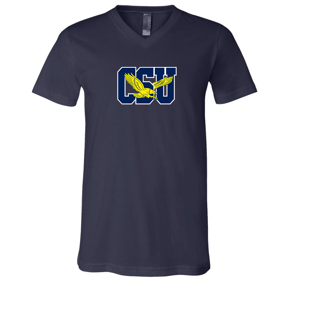 Coppin State Eagles  BELLA  CANVAS - Jersey V-Neck T-Shirt