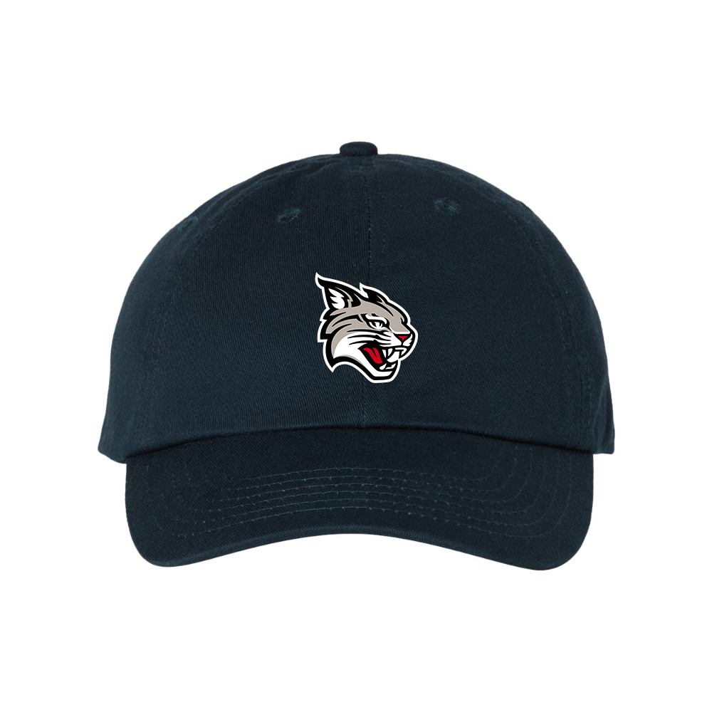 Davidson Wildcats  Valucap Adult Bio-Washed Classic Dad Hat