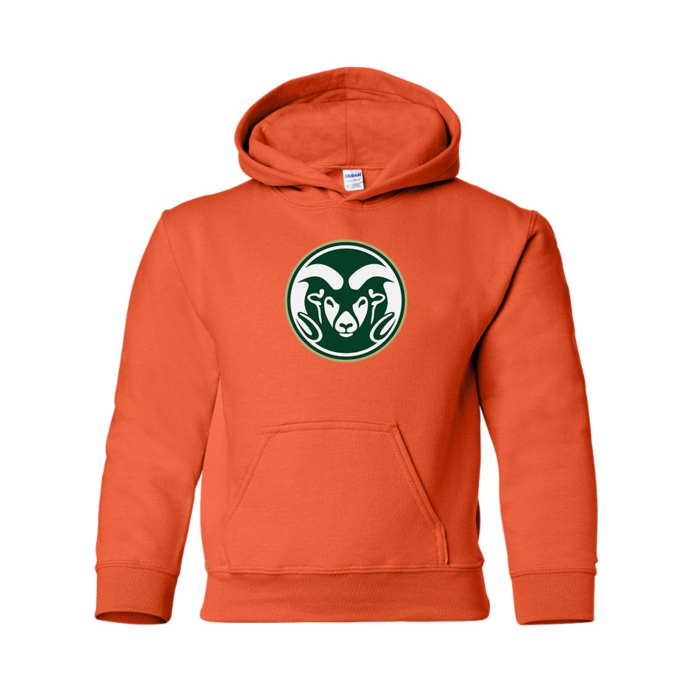 Youth  Colorado State Rams Gildan Heavy Blend  Hooded Sweatshirt