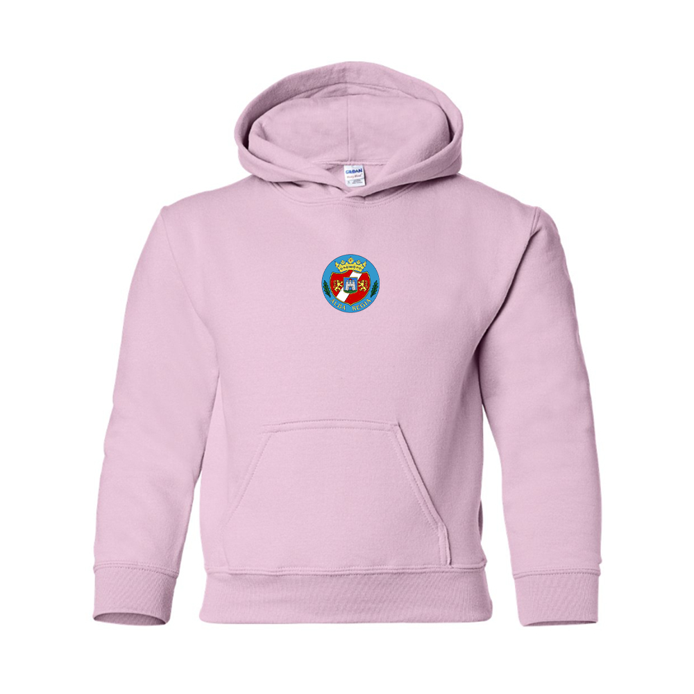 Youth  Alba Regia Pullover Hoodie