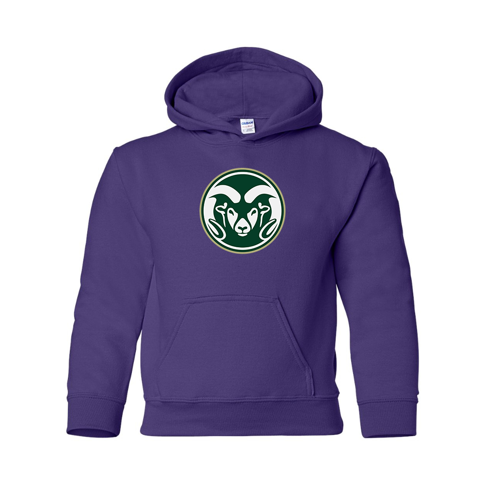Youth  Colorado State Rams Gildan Heavy Blend  Hooded Sweatshirt