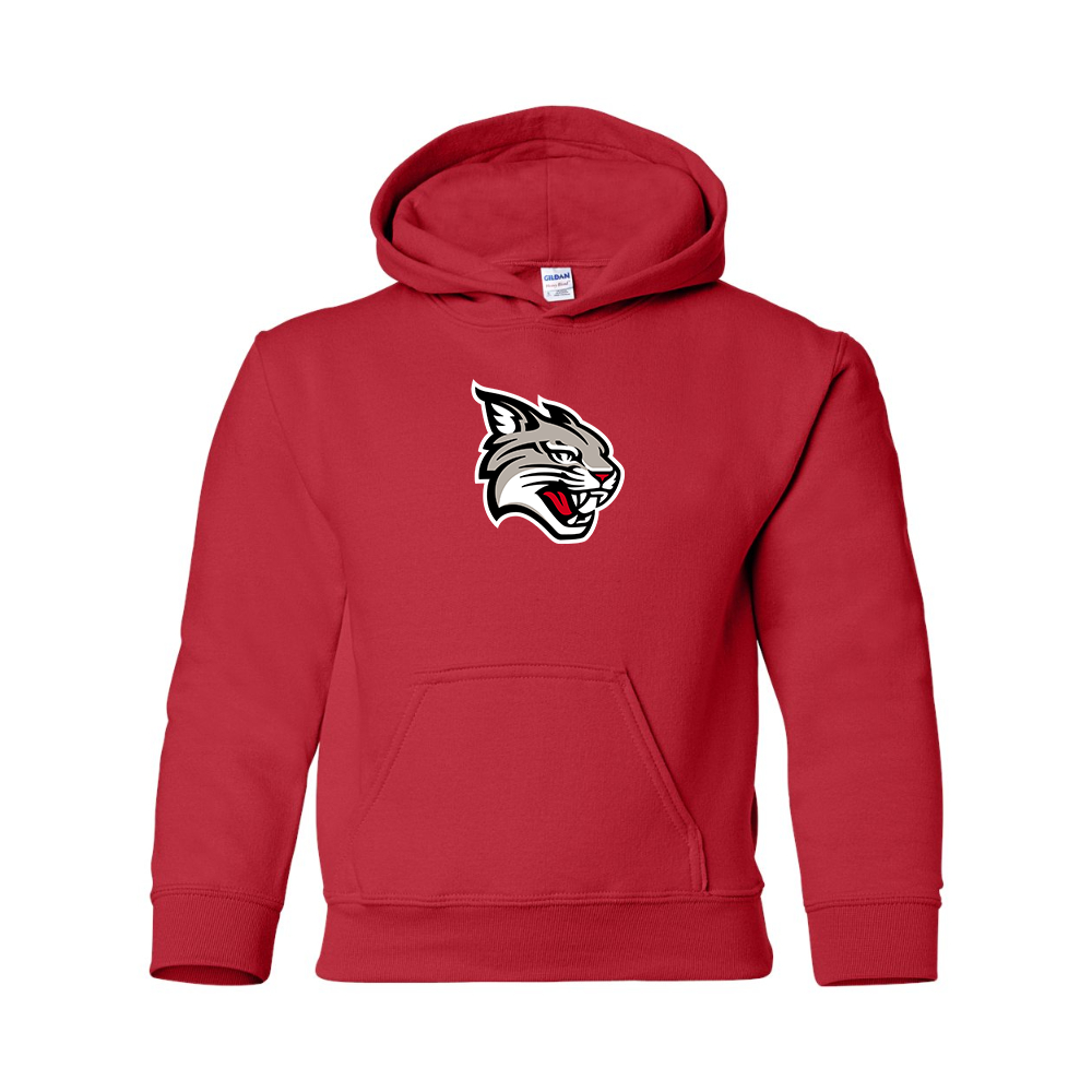 Youth  Davidson Wildcats Gildan Heavy Blend  Hooded Sweatshirt