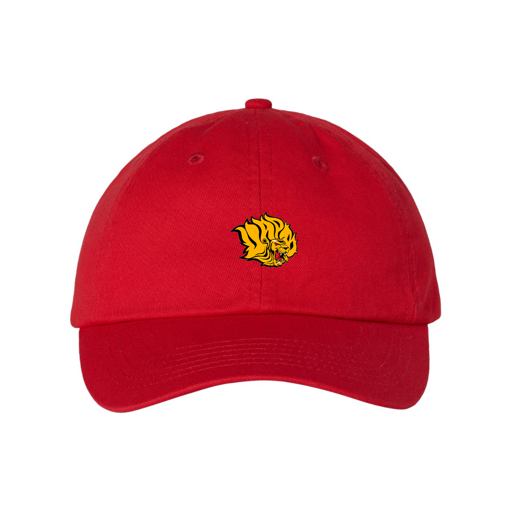 Arkansas PB Golden Lions Valucap Adult Bio-Washed Classic Dad Hat