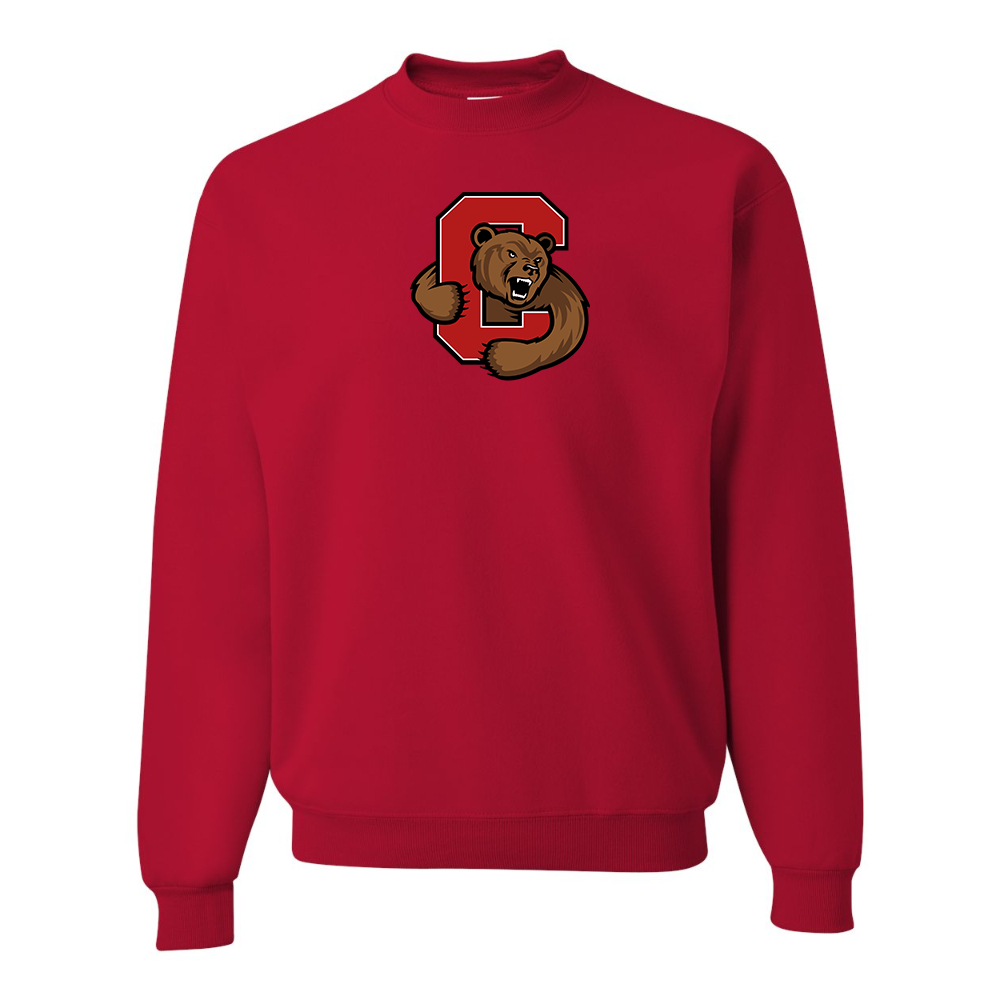Men's  Cornell Big Red JERZEES NuBlend Crewneck Sweatshirt