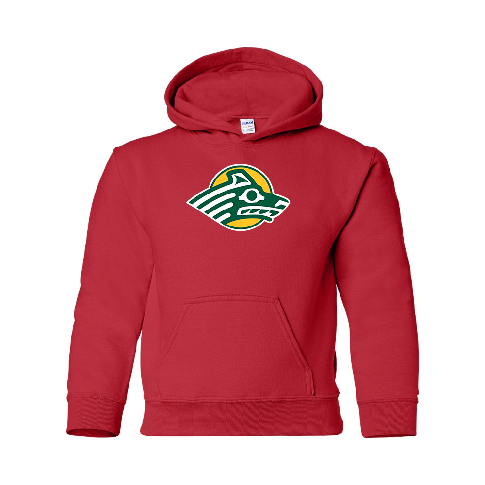 Youth Alaska Anchorage Seawolves  Gildan Heavy Blend  Hooded Sweatshirt