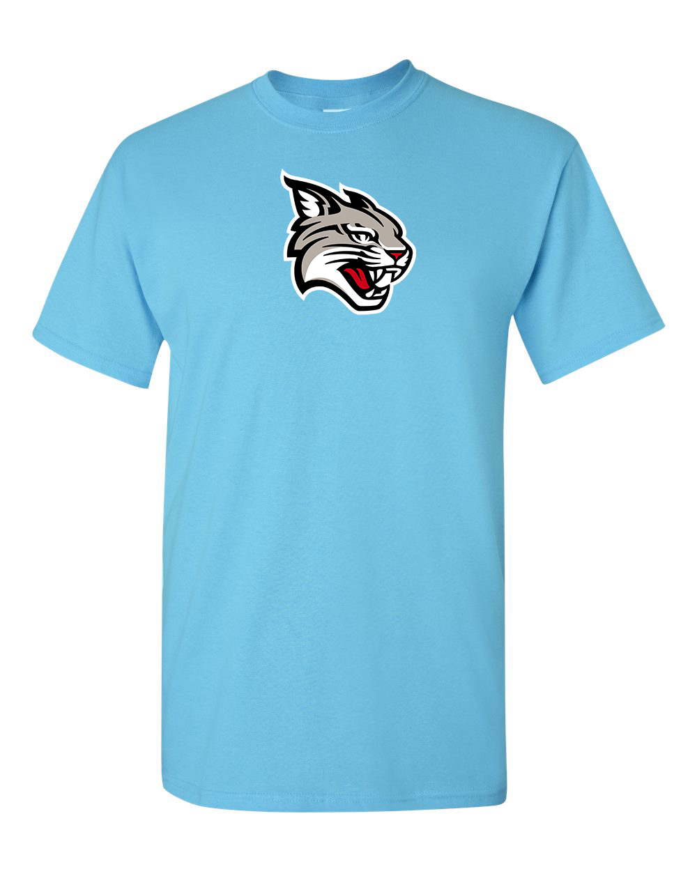 Men's Davidson Wildcats Gildan Heavy Cotton T-Shirt