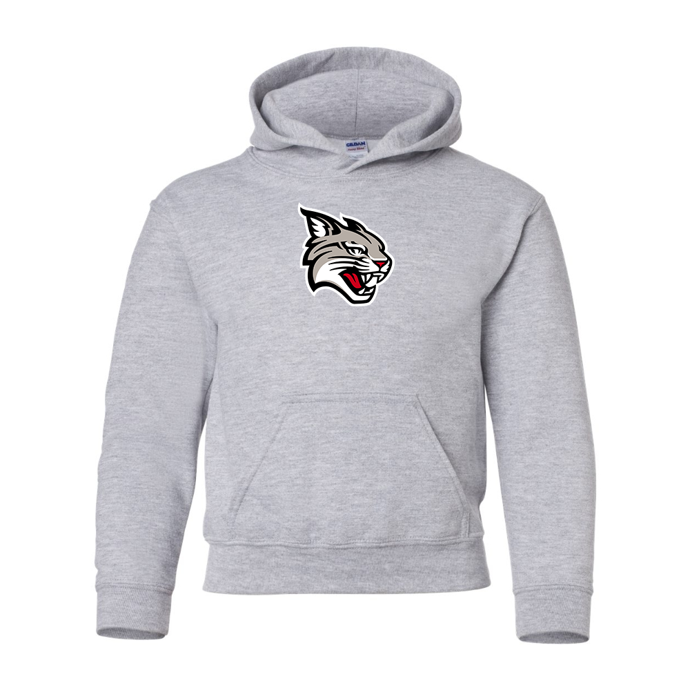 Youth  Davidson Wildcats Gildan Heavy Blend  Hooded Sweatshirt