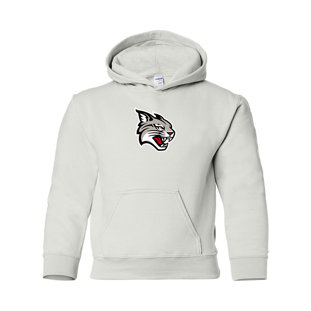Youth  Davidson Wildcats Gildan Heavy Blend  Hooded Sweatshirt