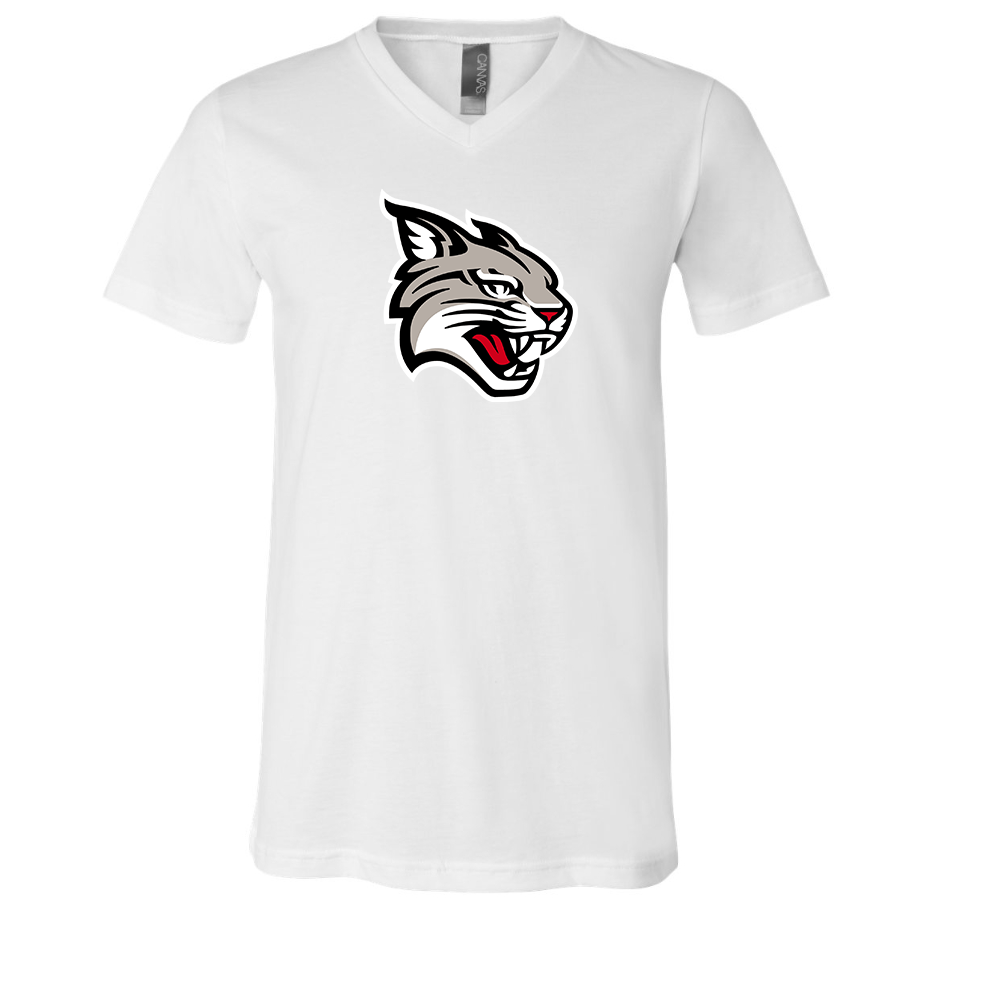 Davidson Wildcats BELLA  CANVAS - Jersey V-Neck T-Shirt