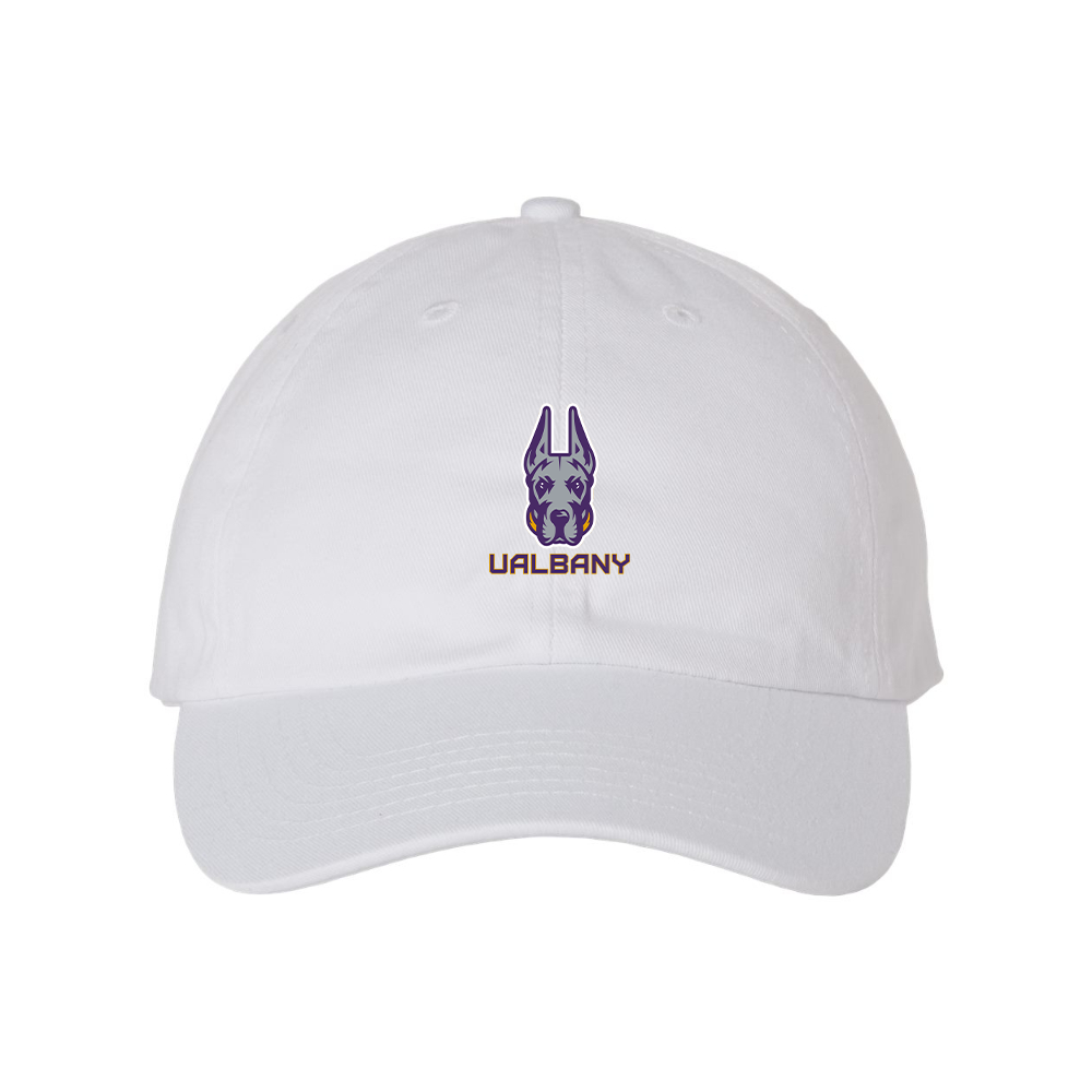 Albany Great Danes  Valucap Adult Bio-Washed Classic Dad Hat