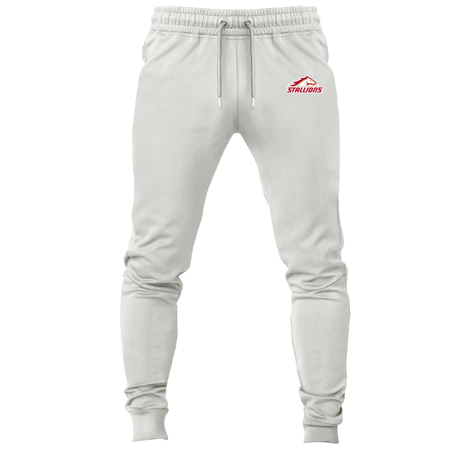 Men's Birmingham Stallions Logo Sweatpants Joggers