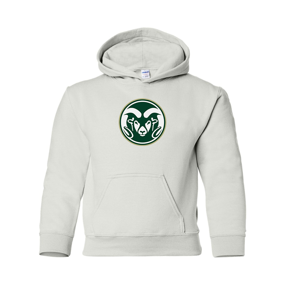 Youth  Colorado State Rams Gildan Heavy Blend  Hooded Sweatshirt