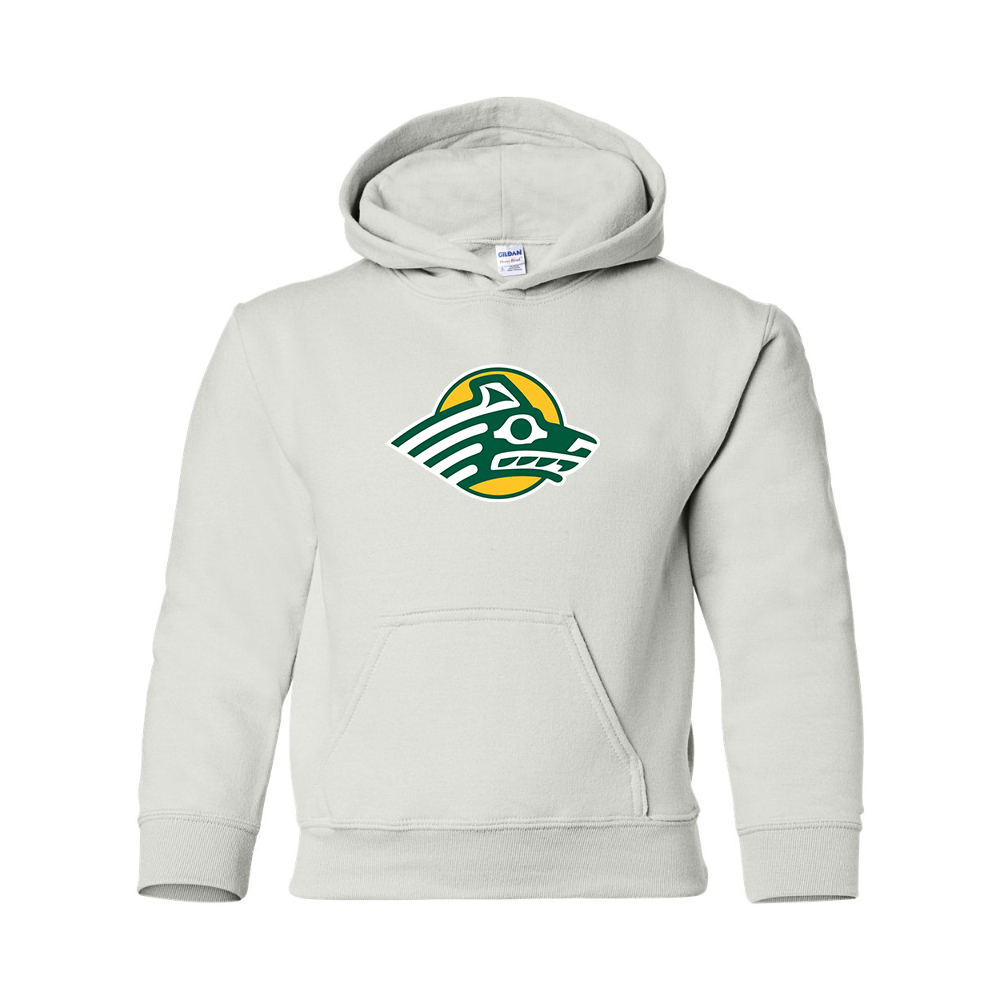 Youth Alaska Anchorage Seawolves  Gildan Heavy Blend  Hooded Sweatshirt