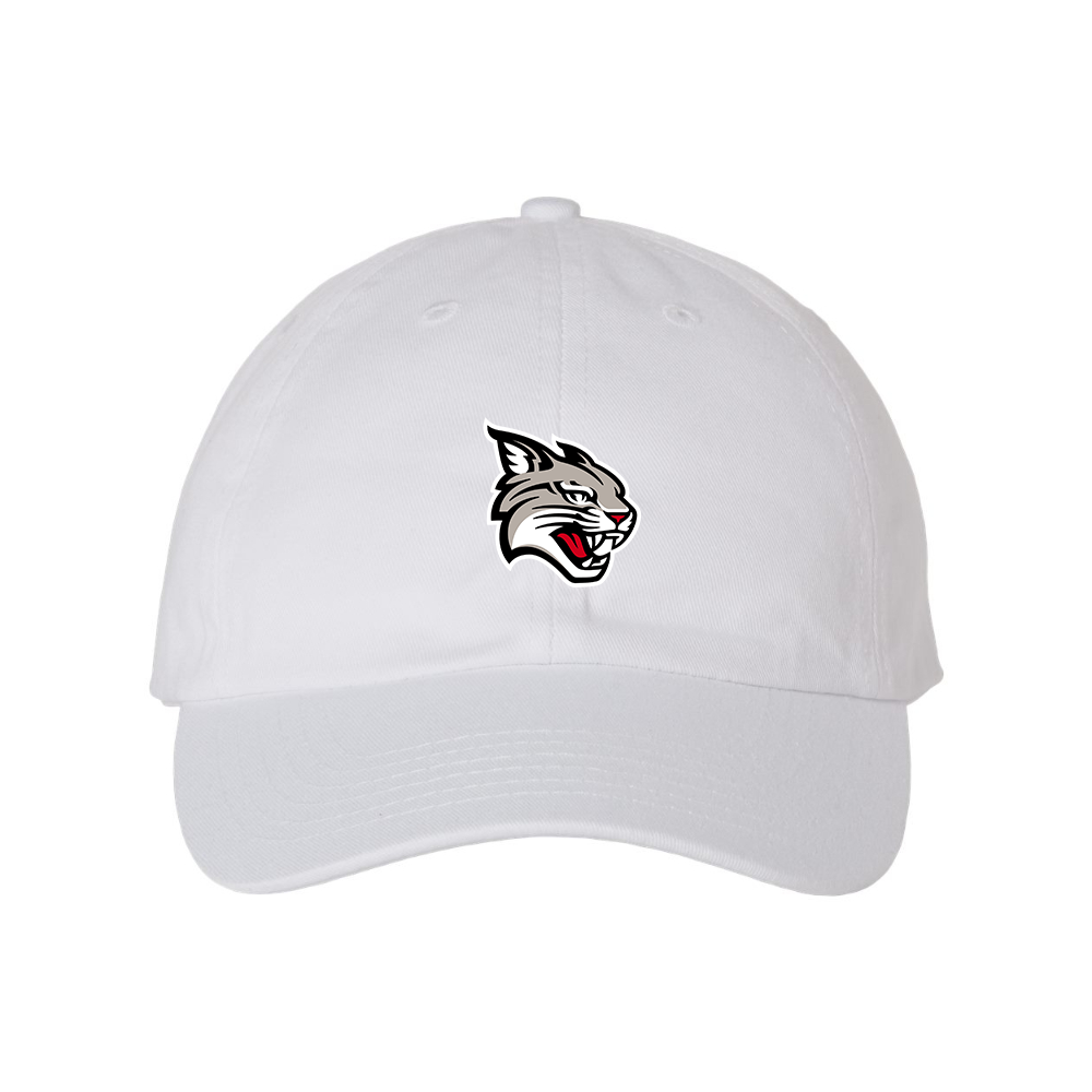Davidson Wildcats  Valucap Adult Bio-Washed Classic Dad Hat